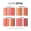 heme 6 color eyeshadow palette (6 colors in all) GOLDEN