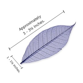 ChangThai Design Skeleton Leaves 3½" Long Blue Dyed 100 Pieces Nature Dried Rubber Tree Leaf for Scrapbooks Photo Albums Crafts Wedding Cards Decoration Colorful Decorative Arrangements Décor Gifts