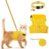 Cat Harness with Leash and Collar for Walking - Escape