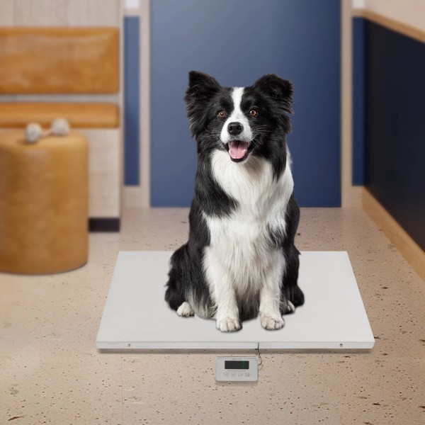 N/A 660LBS Weight Scale HD LED Display Pet Scale Floor