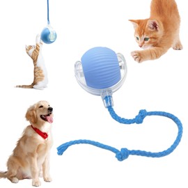Tewloss Chewie Viral Rolling Ball, Interactive Cat Toys Ball for Indoor, Cats Interactive Self Rolling Ball Dog Ball Automatic Cat Toy 360 Smart Automatic Rolling Pet Ball (Blue)