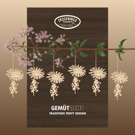 weigla - Wooden Tree Decorations Original Ore Mountains I 6-Piece Tree Decoration Set Ladybird Motif I Beautiful Craft and Gift Idea for Young and Old I Gift Tags