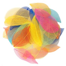 HAOBIN Natural Dry Leaves Dried Leaves Artificial Silk Leaves Decorative Leaves Craft Dry Leaves for Crafts DIY Resin Scrapbook Craft Card Making, 12 Colours, 36 Pieces