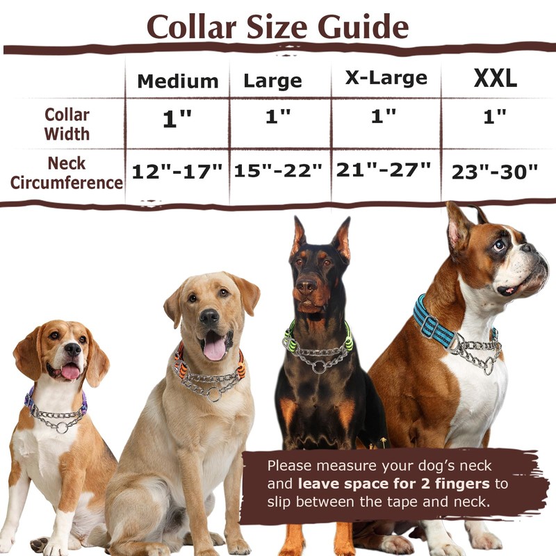 Martingale Dog Collar with Soft Padded - Reflective Choke Chain
