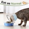 Cat Cone Collar Soft: Comfortable Waterproof Mesh Recovery Cone After