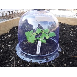 12-Pack! GrowAway™ Medium Reusable Plastic Mini Greenhouse, Garden Cloche Dome, Plant Covers Frost Guard Freeze Protection for Plants Outdoors, Garden Tools, Garden Accessories - 10.24"Diam. x 7.48"H