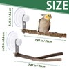 2 Pcs Natural Bird Perch Stand with Suction Cup Window