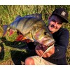 LMAB KØFI Bleak Pintail 11 cm - No Action Shad