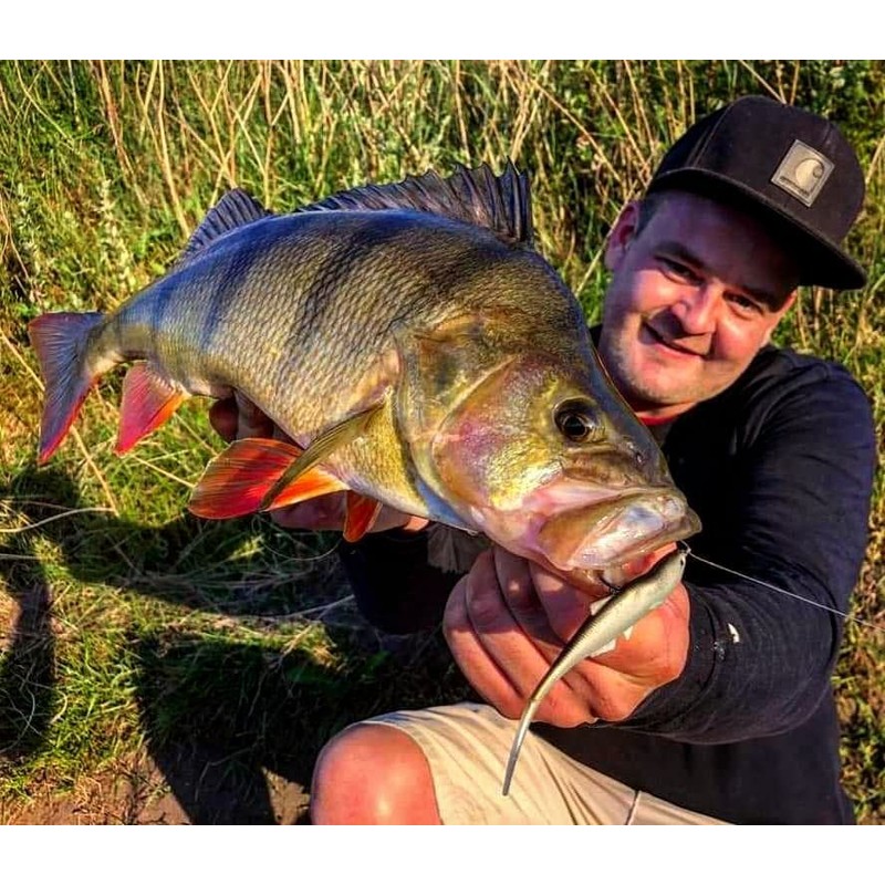 LMAB KØFI Bleak Pintail 11 cm - No Action Shad