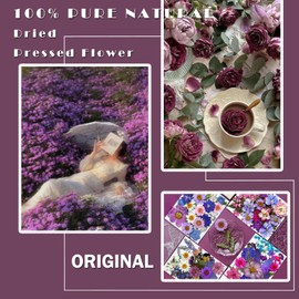 MIKIYA 91Pcs Purple Pressed Dried Flowers for Resin Molds, Assorted Real Natural Bulk Dry Floral Leaves for DIY Art Crafts, Epoxy Jewelry, Candle, Soap Making, Nails Decors Gifts