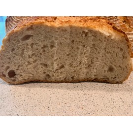 All Natural Live Hungarian Sourdough Starter 110+years old| 100g | Fed and Active Comes with Bread Recipe