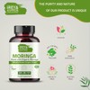 Ireya Ayurveda Moringa Capsule 1000 mg (120 Capsules), Moringa Powder