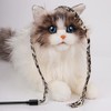 RSYHVG 6 Packs Cat Wand Toy Set, 30cm Cat Interactive