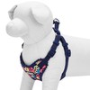Blueberry Pet 5 Patterns Soft & Comfy Made Well Profound