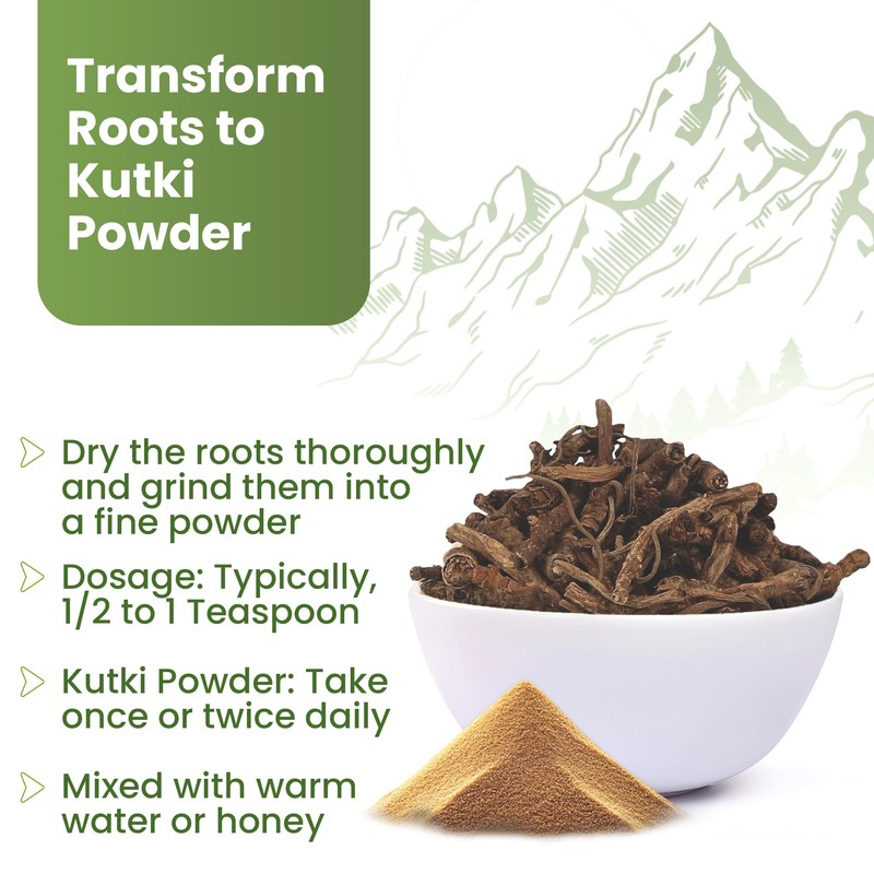 Himalayan Kutki Root (Picrorhiza kurroa) – Sun-Dried, Premium Grade, 3.5oz