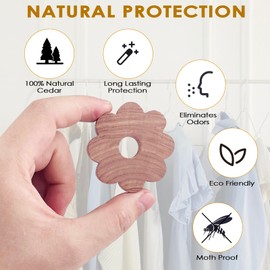 Dalephoric 30 Stück Zedernholz Mottenschutz Ringe, Mottenschutz für Kleiderschrank, Chemiefrei, Natürlicher Mottenschutz, Hervorragende Mottenfalle Kleidermotten, für Kleiderbügel, Schubladen