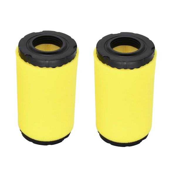Quaprodur 2 Pack 796031 Air Filter Compatible with Briggs 797704