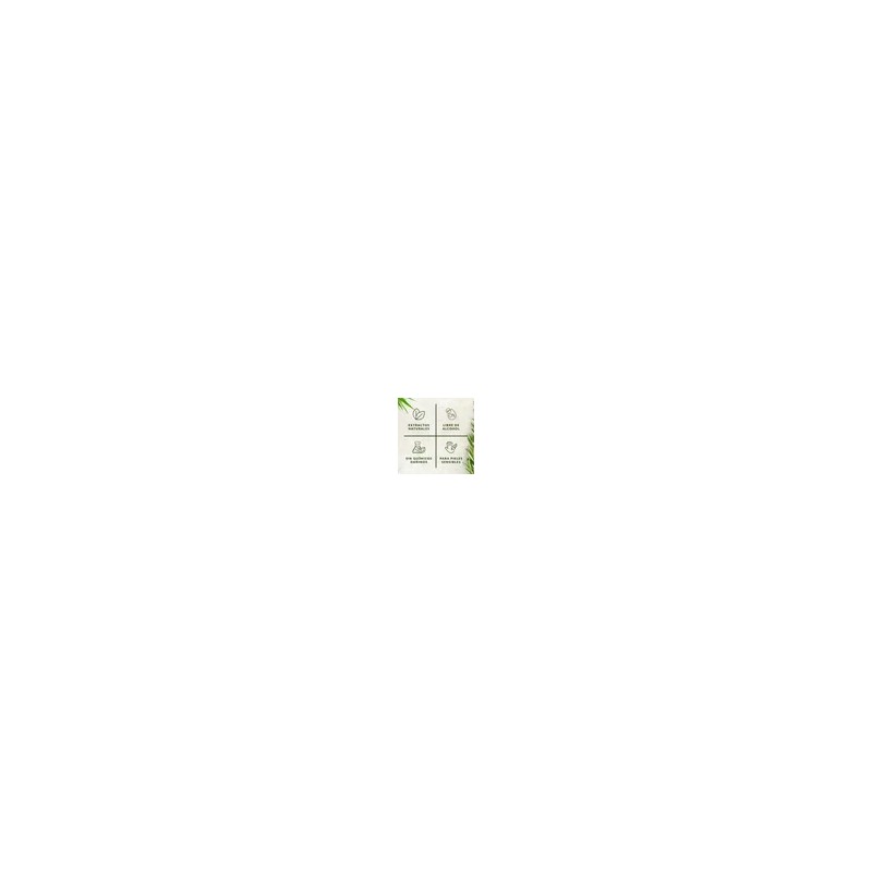 Gel para Peinar Árbol Verde Romero 250g