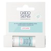 DADO SENS Lipcare Intensive Lip Balm 4.8 g – the