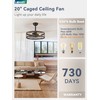 LEDIARY 20 inch Fandelier Caged Ceiling Fan with Light, Bladeless