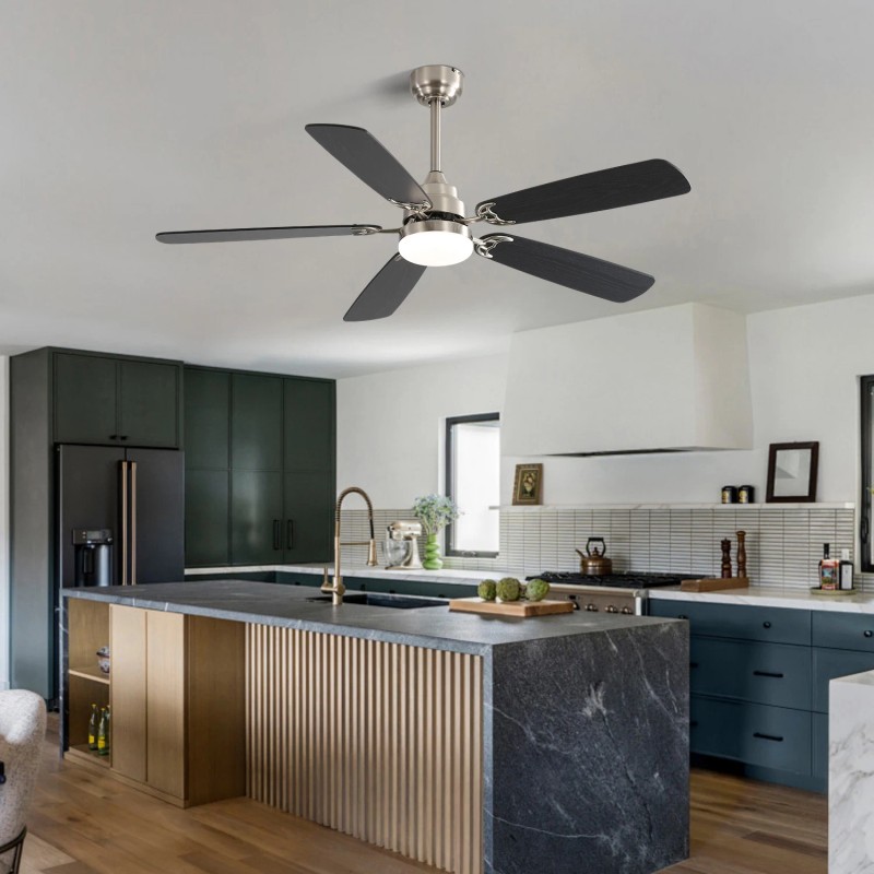 USA in Stock 52 Inch Ceiling Fan Inverter Modern Fan