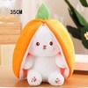 Kawaii Transforming Fruit Bunny Plush Toy, Strawberry and Carrot Rabbit