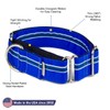 If It Barks - 1.5" Martingale Collar for Dogs -