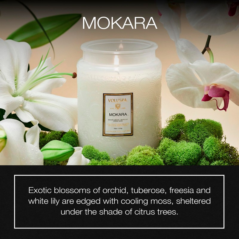 Cherry Gloss Large Jar