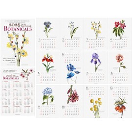 2026 Desk Calendar - Botanical Watercolor Monthly Calendar, Made in USA, 5x7 pages with motivational quotes, wooden Easel for Home Oﬃce School, Holiday New Year Gift (2026 Botanical - 01, Refill Pages Only)