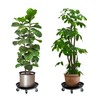 Plant Caddy with Wheels,3 Pack Black Heavy Duty Plant Stand