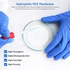 Locofiltr MCE Membrane Filter, Sterile, 47mm, 0.45µm, Hydrophilic, Individually Wrapped,
