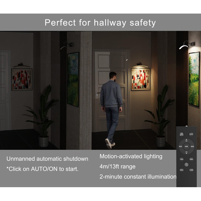 PAIHOME Wireless Battery Operated Picture Light, 16in Black Picture Light
