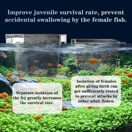 WEAVERBIRD Aquarium Fish Breeder Box, Acrylic Fish Isolation Breeding Box, Square Hatchery Box Hatching Incubator Box for Baby Fish Shrimp Clownfish Guppy