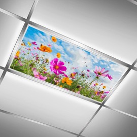 RoseFace 2PCS Fluorescent Light Covers for Classroom Ceiling Lights Magnetic Light Covers,Fluorescent Light Filters for School Home Office Drop Ceiling Lamp Decor Light Filters 4x2Feet(Flower)