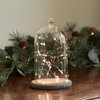 Lights4fun Regular Glass Cloche Bell Jar Dome with Grey Bamboo