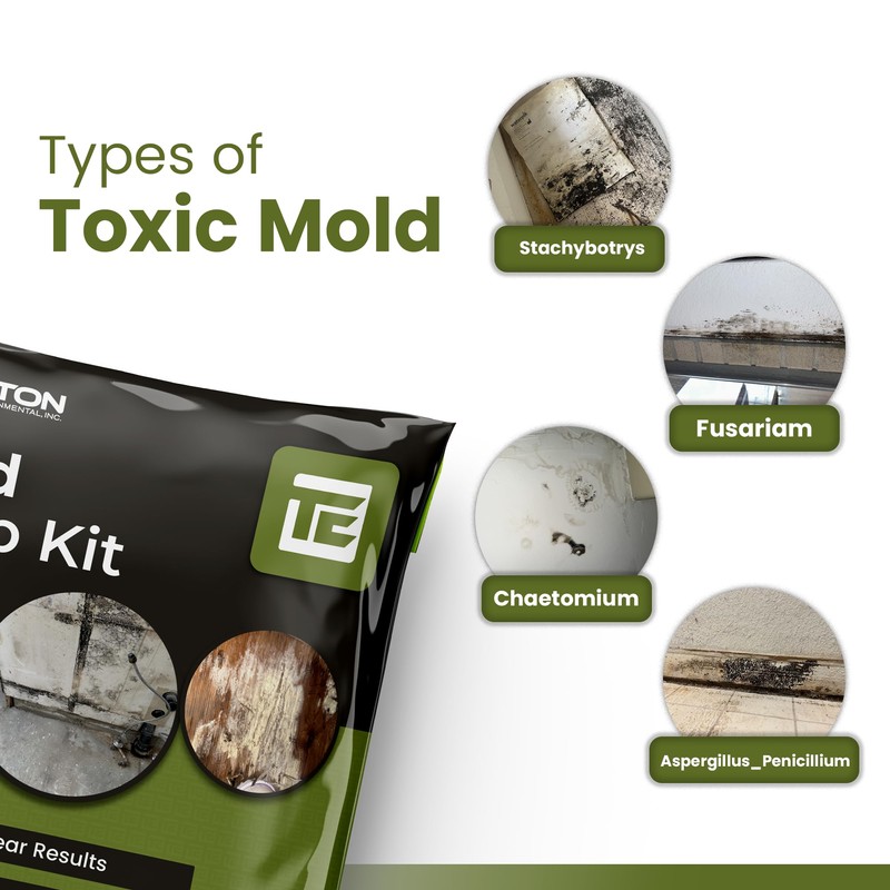 Mold Test Kit – Lab Fees Included, Detects 20+ Mold
