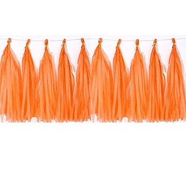 Tissue Paper Tassels Garland Banner Table Decor Party Banner Wedding Birthday Baby Shower Nursery Party Decorations Supplies (20, Orange)