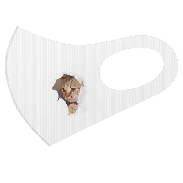 Design Mask, Set of 2, Polyester, Washable, Cloth Mask, Unisex,