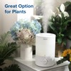 LEVOIT - Humidifiers for Bedroom - Quiet (3L Water Tank)