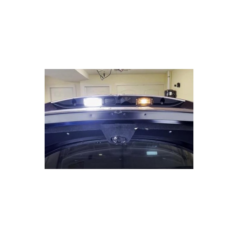 RZG 2x LED Licence Number Plate Light White Canbus For