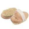 PROFICO Body Massage Brush (Tampico Exclusive Set)