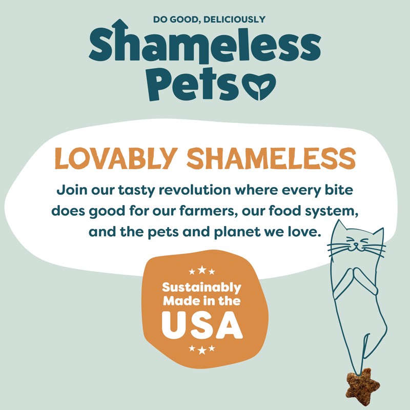 Shameless Pets Crunchy Cat Treats - Catnip Treats for Cats