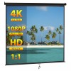 Segawe 120'' Projector Screen Projection Screen Manual Pull Down HD