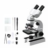 Stereo-microscopes-40-1600X Magnification,Biological Educational Microscope for Students,with Phone Clip,Biological Specimen and
