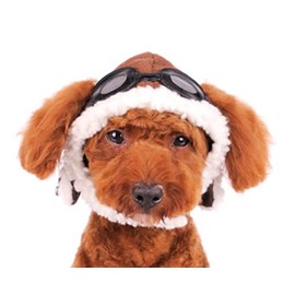 Dogo "Aviator" Hat For Cat Dog Puppy Pet (S)
