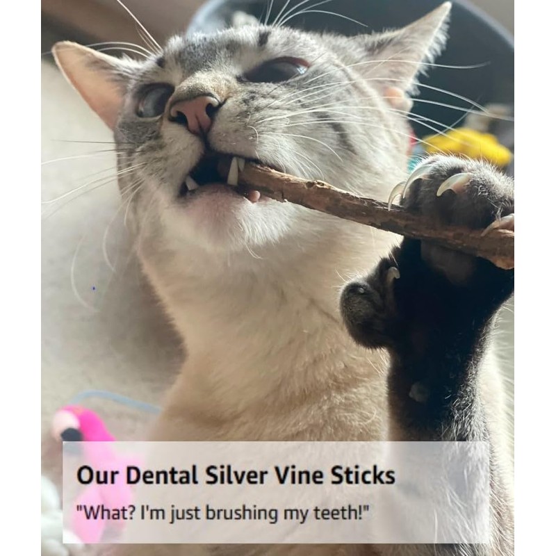 From The Field Silver Vine Sticks for Cats | Natural