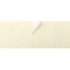Pressurized Delivery Seals, 4.9 x 2.0 inches (12.5 x 5