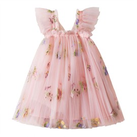 Nileafes Toddler Girl Flower Butterfly Embroidery Tutu Dress Casual Tulle Princess Birthday Dresses Size 90 (1-2 Years, 109-Pink)