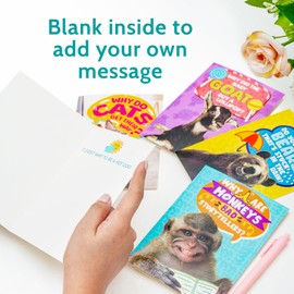 T MARIE T MARIE 24 Funny Animal Joke Notecards With No Repeats - Humorous Bulk Cards Set - 4.5 x 6.25 Thinking of You Cards for Friends, Kids, Students, Teachers, Summer Camp and More