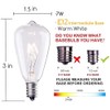 Couah Edison Light Bulbs 10-Pack Replacement ST38 Clear Bulbs -